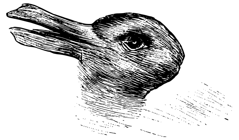 The rabbit/raven illusion, explained